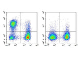 PE/Cyanine7 Anti-Human CD19 Antibody[HI19a]
