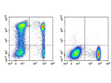 PE/Elab Fluor® 594 Anti-Human CD123 Antibody[HI12H7]
