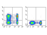 Elab Fluor® Violet 450 Anti-Human CD62L Antibody[HI62L]
