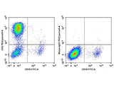 PE/Cyanine5 Anti-Human CD2 Antibody[RPA-2.10]
