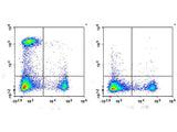 PE/Cyanine7 Anti-Mouse CD4 Antibody[RM4-5]
