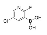 MSE PRO (5-Chloro-2-fluoropyridin-3-yl)boronic acid