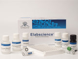 5-HETE(5-Hydroxyeicosatetraenoic Acid) ELISA Kit