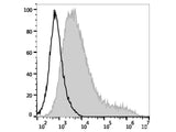 APC Anti-Human CD273/PD-L2 Antibody[24F.10C12]
