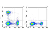 PerCP/Cyanine5.5 Anti-Human CD101 Antibody[BB27]
