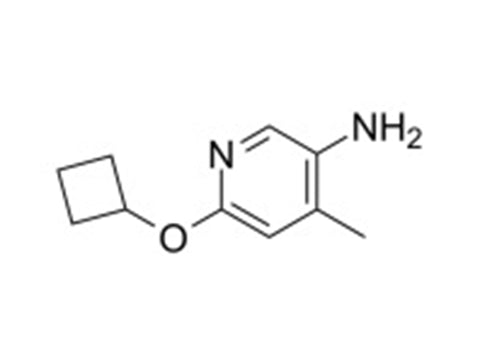 MSE PRO 6-Cyclobutoxy-4-methylpyridin-3-amine