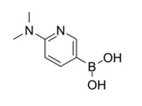 MSE PRO [6-(Dimethylamino)pyridin-3-yl]boronic acid