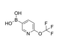 MSE PRO (6-(Trifluoromethoxy)pyridin-3-yl)boronic acid