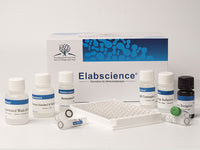 6-keto-PGF1a(6-keto-prostaglandin F1a) ELISA Kit