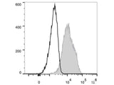 PE Anti-Human CD105 Antibody[SN6]
