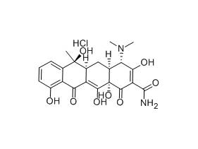 MSE PRO Tetracycline Hydrochloride Solution, 50 mg/ml, Sterile