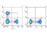 Elab Fluor® Violet 450 Anti-Mouse CD4 Antibody[RM4-5]
