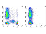 APC Anti-Human CD4 Antibody[SK3]
