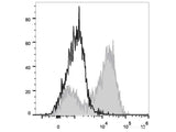 PE/Cyanine7 Anti-Mouse CD14 Antibody[Sa14-2]
