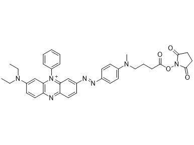 MSE PRO SGQ-3 NHS Ester