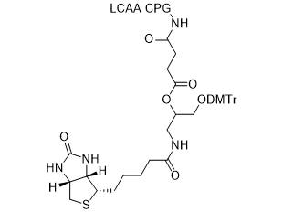 MSE PRO DMT-C3(Biotin) CPG 2000 Å