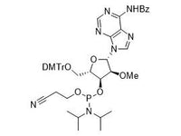 MSE PRO DMT-2’-O-Me-A(Bz)-CE Phosphoramidite