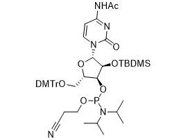 MSE PRO 5’-DMT-2’-TBDMS-rC(N-Ac)-CE Phosphoramidite