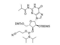 MSE PRO DMT-2’-O-TBDMS-G(iBu)-CE Phosphoramidite