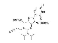 MSE PRO DMT-2’-O-TBDMS-U-CE Phosphoramidite