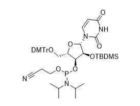 MSE PRO DMT-2’-O-TBDMS-U-CE Phosphoramidite