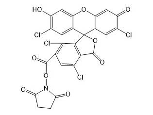 MSE PRO 6-TET NHS Ester