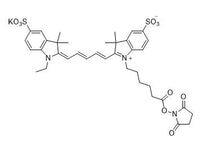 MSE PRO Cyanine 5-Sulfo NHS Ester (Ethyl)