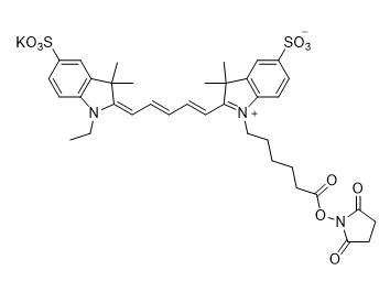 MSE PRO Cyanine 5-Sulfo NHS Ester (Ethyl)