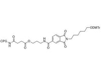 MSE PRO 3'-PT-Amino-Modifier C6 CPG 1000 Å