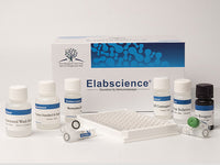 ADMA(Asymmetrical Dimethylarginine) ELISA Kit