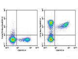 AF/LE Purified Anti-Mouse CD3 Antibody[17A2]