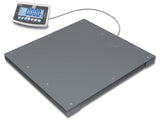 Kern Floor Scale BFB 600K-1NM - MSE Supplies LLC