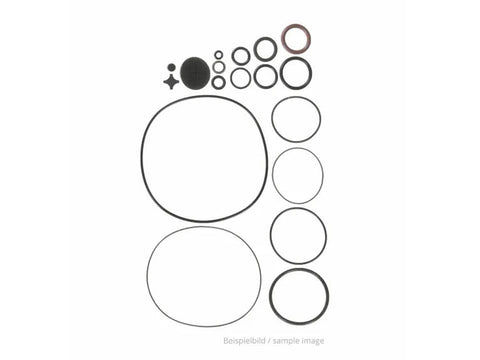 BrandTech BVC Prof. / Control Set of Diaphragms and Valves