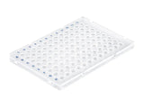 BrandTech PCR Plate 96-Well, PP, BIO-CERT® PCR QUALITY