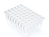 BrandTech PCR Plate 48-Well, PP, 0.2 ml, Without Skirt, BIO-CERT® PCR QUALITY