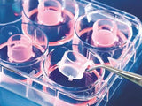 BrandTech Culture Inserts, BRAND Insert 2in1, For 6-Well Plates, BIO-CERT® CELL CULTURE QUALITY, Sterile