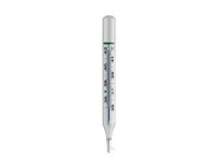 Witeg Clinical Thermometer Oval Form