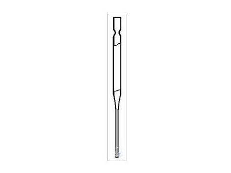 Witeg Pasteur Pipettes Disposable