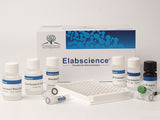 Chicken IL-10(Interleukin 10) ELISA Kit