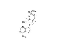 MSE PRO Cyclic AMP (sodium)