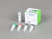 Bioneer Top DNA Polymerase, 10 mM dNTPs, 10X Reaction Buffer without MgCl2, 20 mM MgCl2 (2,000 Units)