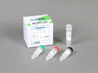 Bioneer Top DNA Polymerase, 10X Reaction Buffer without MgCl2, 20 mM MgCl2 (2,000 Units)