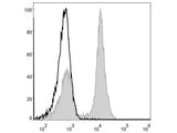 Elab Fluor® 488 Anti-Mouse CD19 Antibody[1D3] - MSE Supplies LLC