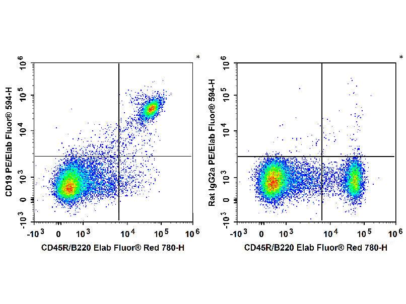 PE/Elab Fluor® 594 Anti-Mouse CD19 Antibody[1D3]– MSE Supplies LLC