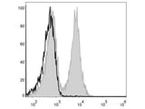 FITC Anti-Mouse CD19 Antibody[1D3] - MSE Supplies LLC