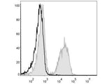 PE Anti-Mouse CD19 Antibody[1D3] - MSE Supplies LLC