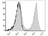 PE/Cyanine5 Anti-Mouse CD19 Antibody[1D3] - MSE Supplies LLC