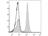 Elab Fluor® 488 Anti-Mouse CD19 Antibody[1D3] - MSE Supplies LLC