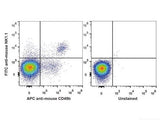 FITC Anti-Mouse CD161/NK1.1 Antibody[PK136]