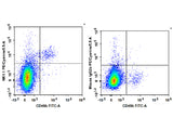 PE/Cyanine5.5 Anti-Mouse CD161/NK1.1 Antibody[PK136] - MSE Supplies LLC